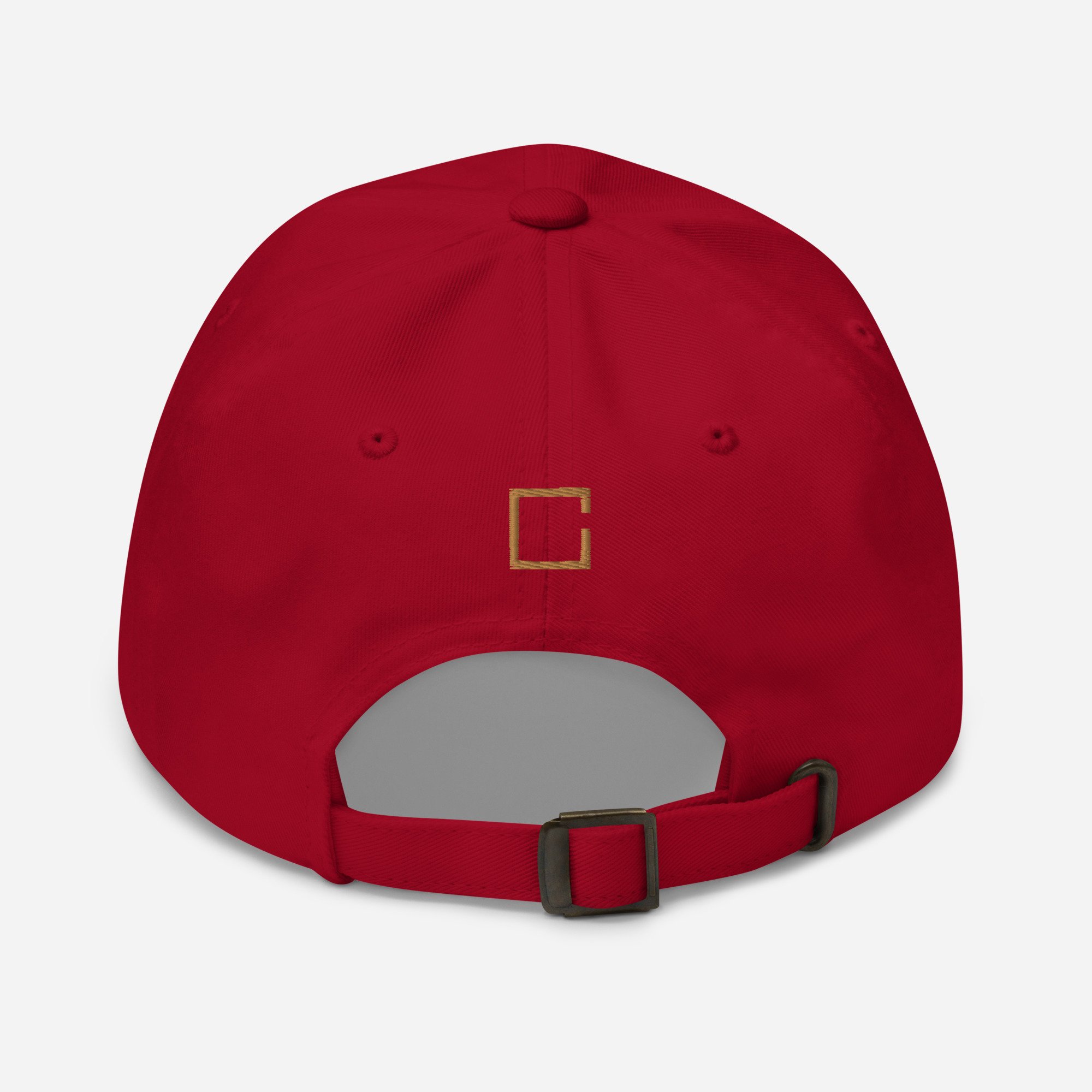 classic-dad-hat-cranberry-back-6489ff3ad699f.jpg